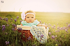 22007876_2076193529073529_5791498897260508454_n