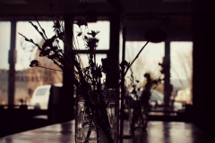 22089595_2076193999073482_382544683197397660_n